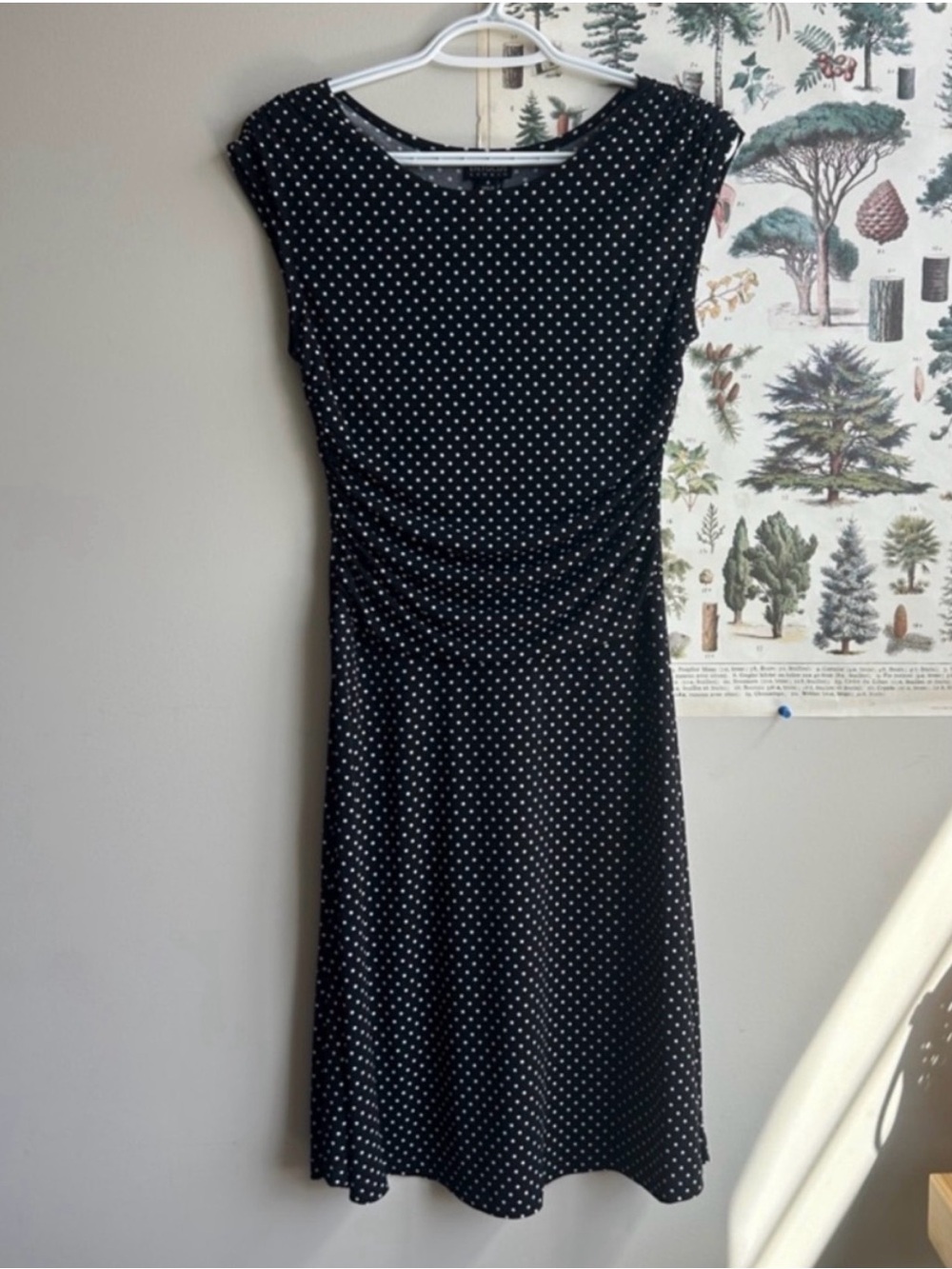 En Focus Black Polka Dot Cap-Sleeve Dress Size 4